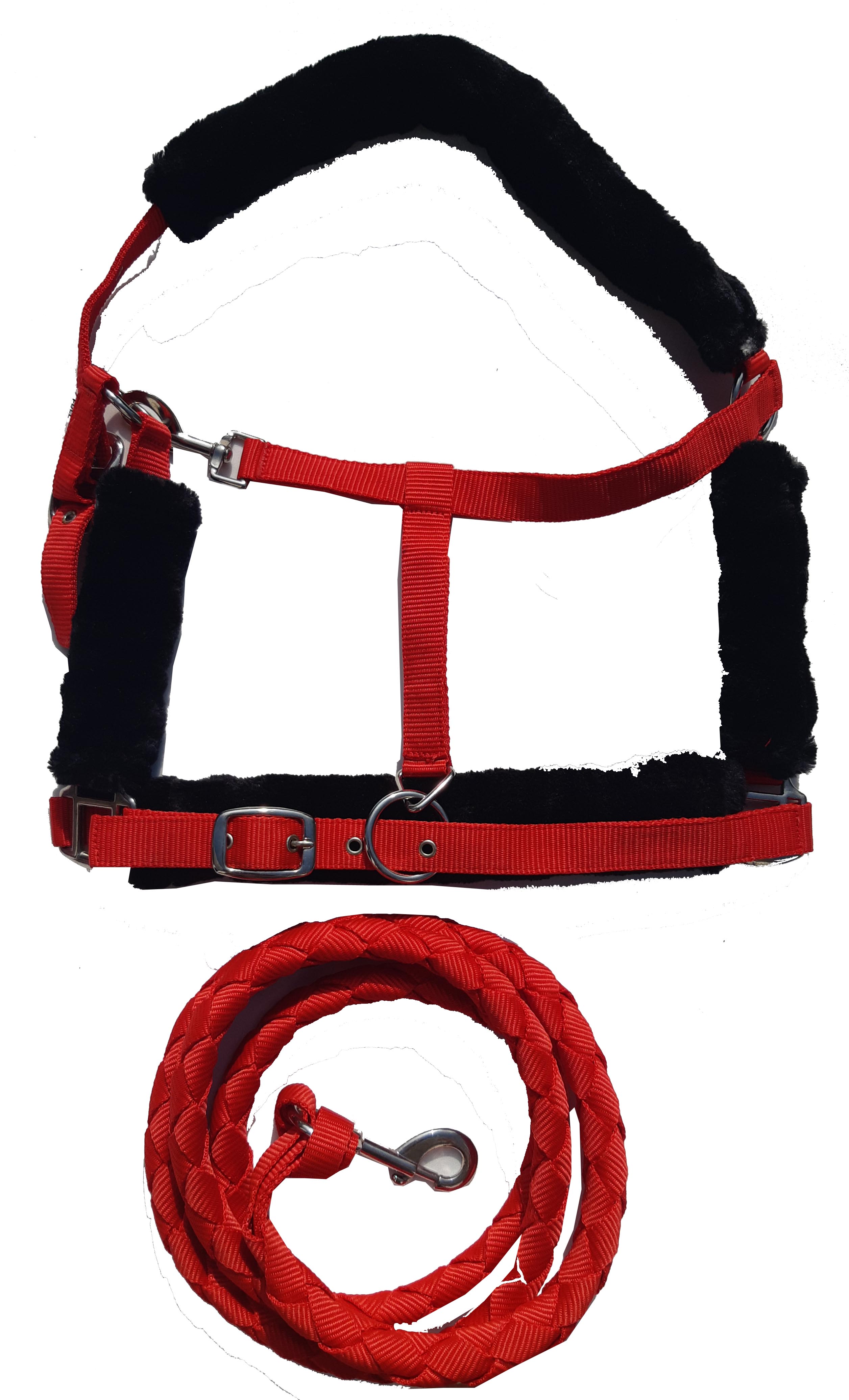 PP HALTER (RED/BLACK) 307-5001